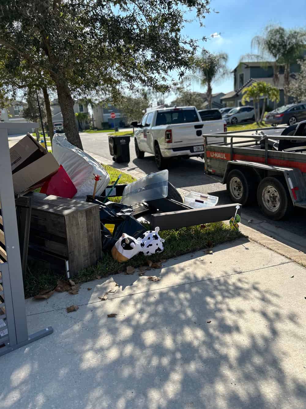 Same-Day Removal image