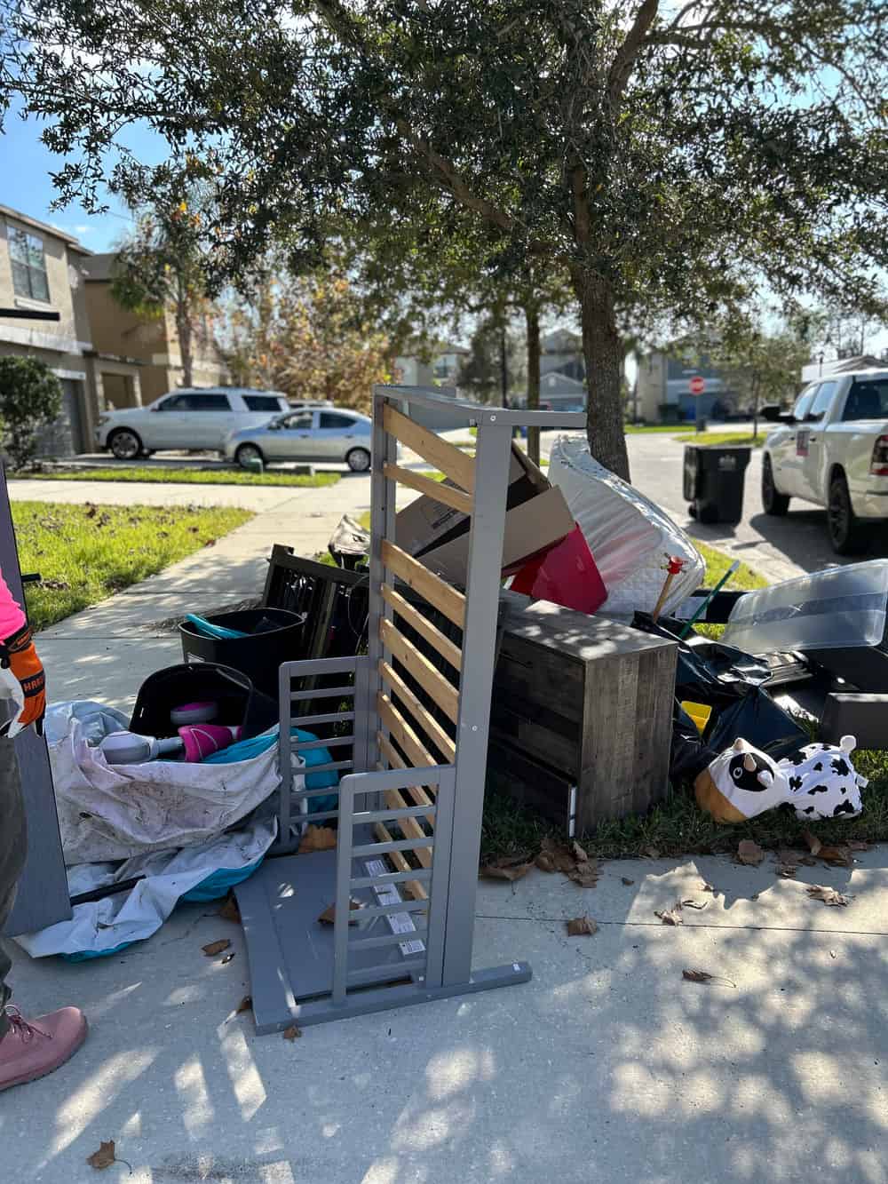 Hoarder Cleanouts image