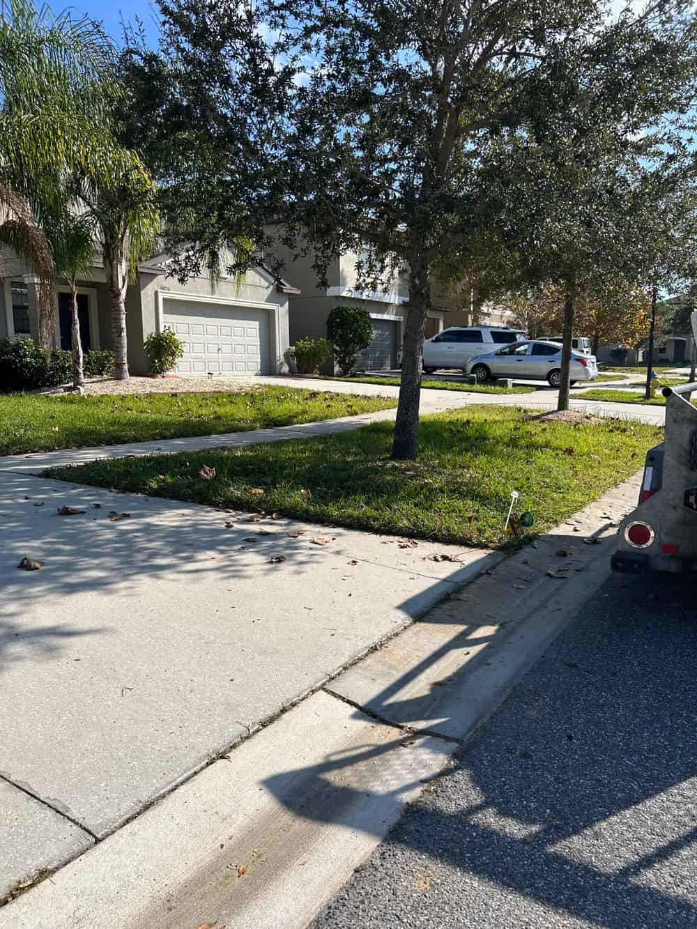 Light Tree Removal image